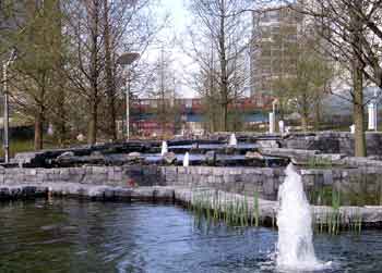 ponds water feature London Docklands garden.