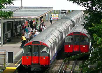 vegetation partially blocks view from railway bridge