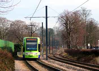 Tramlink sunshine woodland.