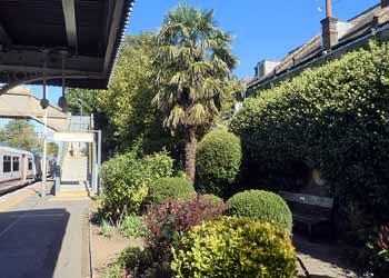 Platform garden at Highams Park London Overground station.