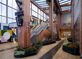 pathway with seating areas and planting.