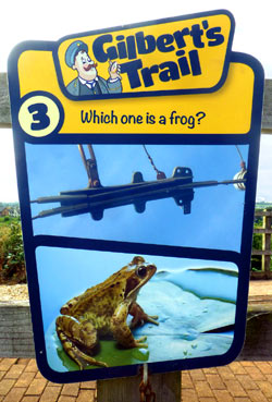 Seaton Tramway poster showing tramway frog and animal frog.