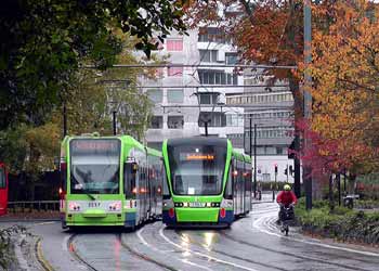 Tramlink Addiscombe Road Autumn leaves.